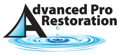 Advanced Pro Restoration logo