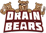 Drain Bears logo